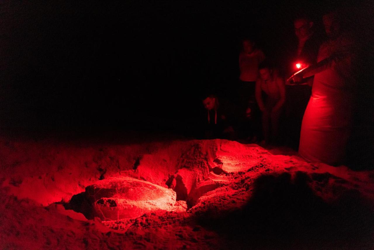 Ras Al Jinz Turtle Reserve Al Hadd Bagian luar foto