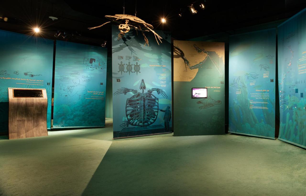 Ras Al Jinz Turtle Reserve Al Hadd Bagian luar foto